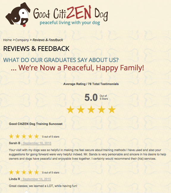 Good CitiZEN displays over 70 customer testimonials on their website with the GetFiveStars widget.