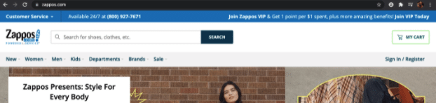 Screenshot of Zappos website