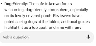 Close-up of a Google Ask Maps answer noting that reviewers have reported seeing dogs at the cafe’s tables on its covered porch.
