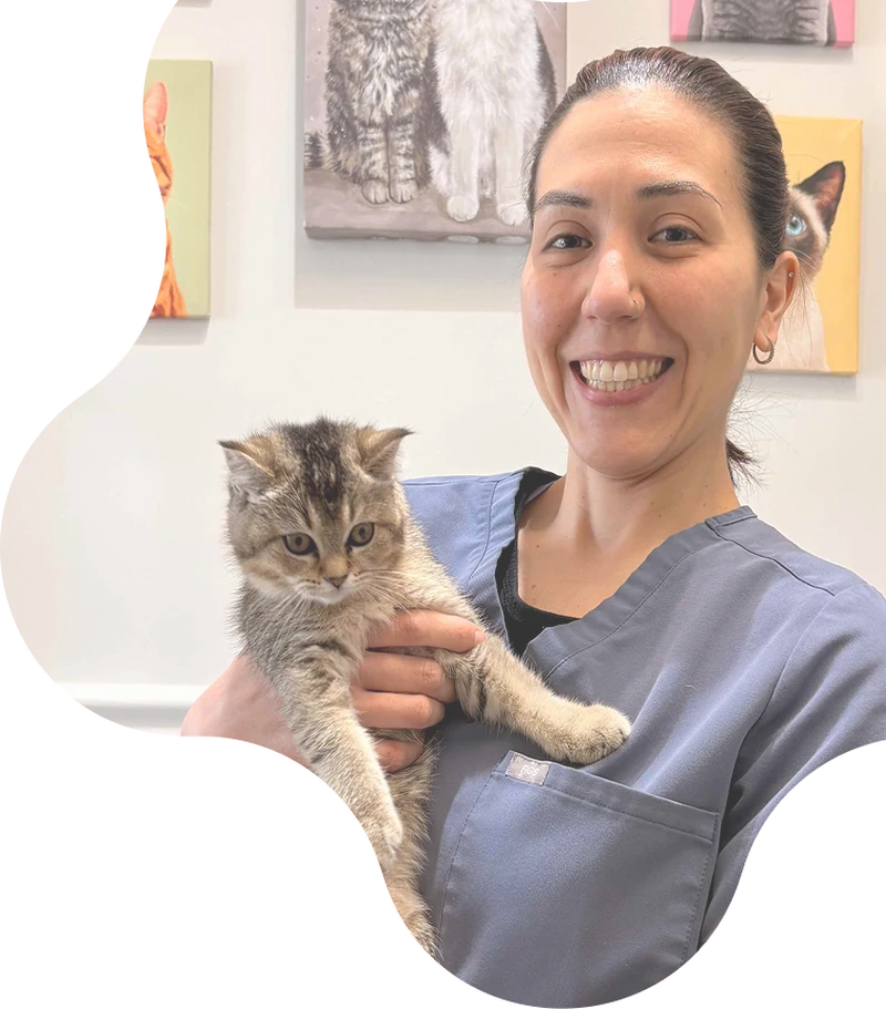 A veterinary nurse holding a kitten.